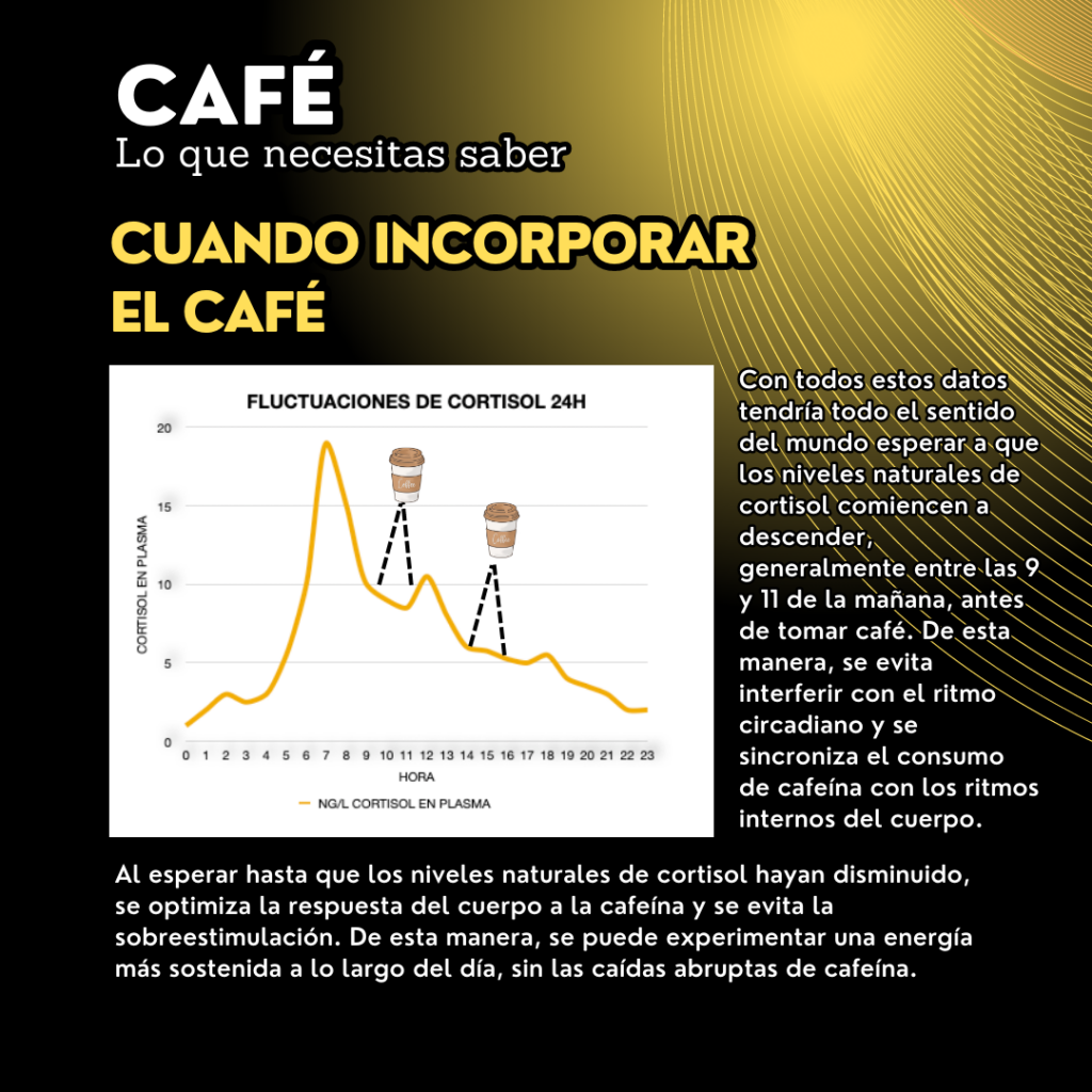 cafe cortisol y ciclado para la optimizacion